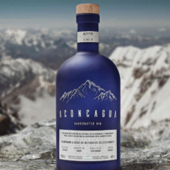 ACONCAGUA GIN 750ML