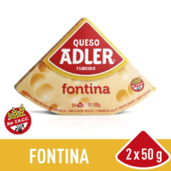 QUESO ADLER FONTINA 100 GMS