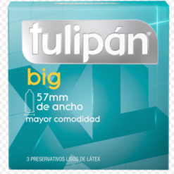 TULIPAN  BIG
