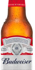 BUDWEISER PORRON 355ML