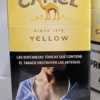 CAMEL BOX 20