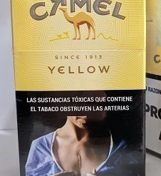 CAMEL BOX 20