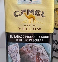 CAMEL COMÚN 20
