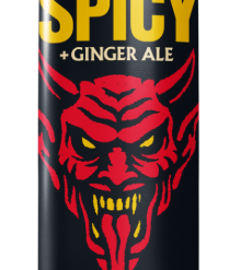 DR LEMON SPICY 473ML